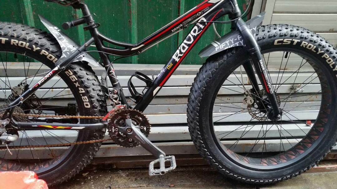 the raven fat bike