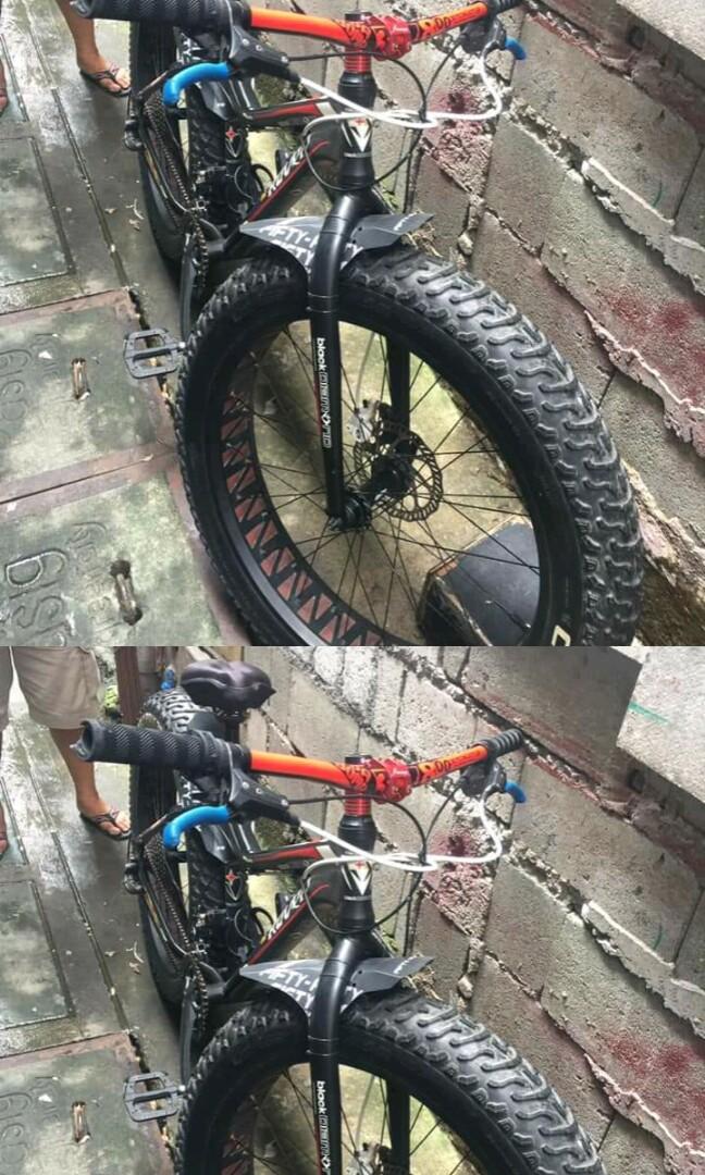 Raven fatbike