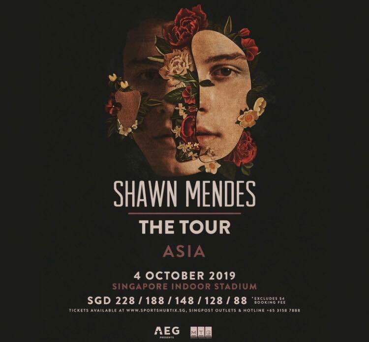 Shawn Mendes (Cat 1, Standing Ticket), Tickets & Vouchers, Event