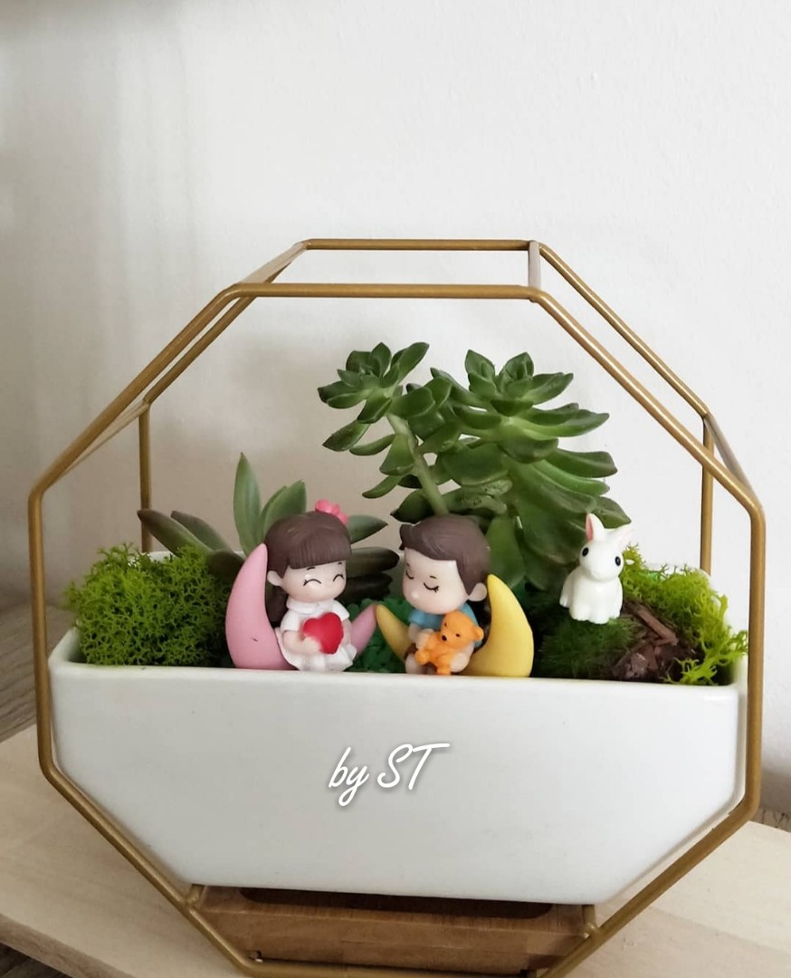 Terrarium, Hobbies & Toys, Memorabilia & Collectibles, Religious Items