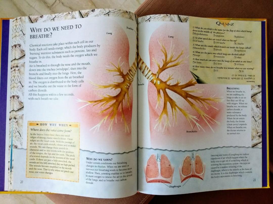 The Human Anatomy Book, Buku & Alat Tulis, Buku di Carousell Biology Diagrams