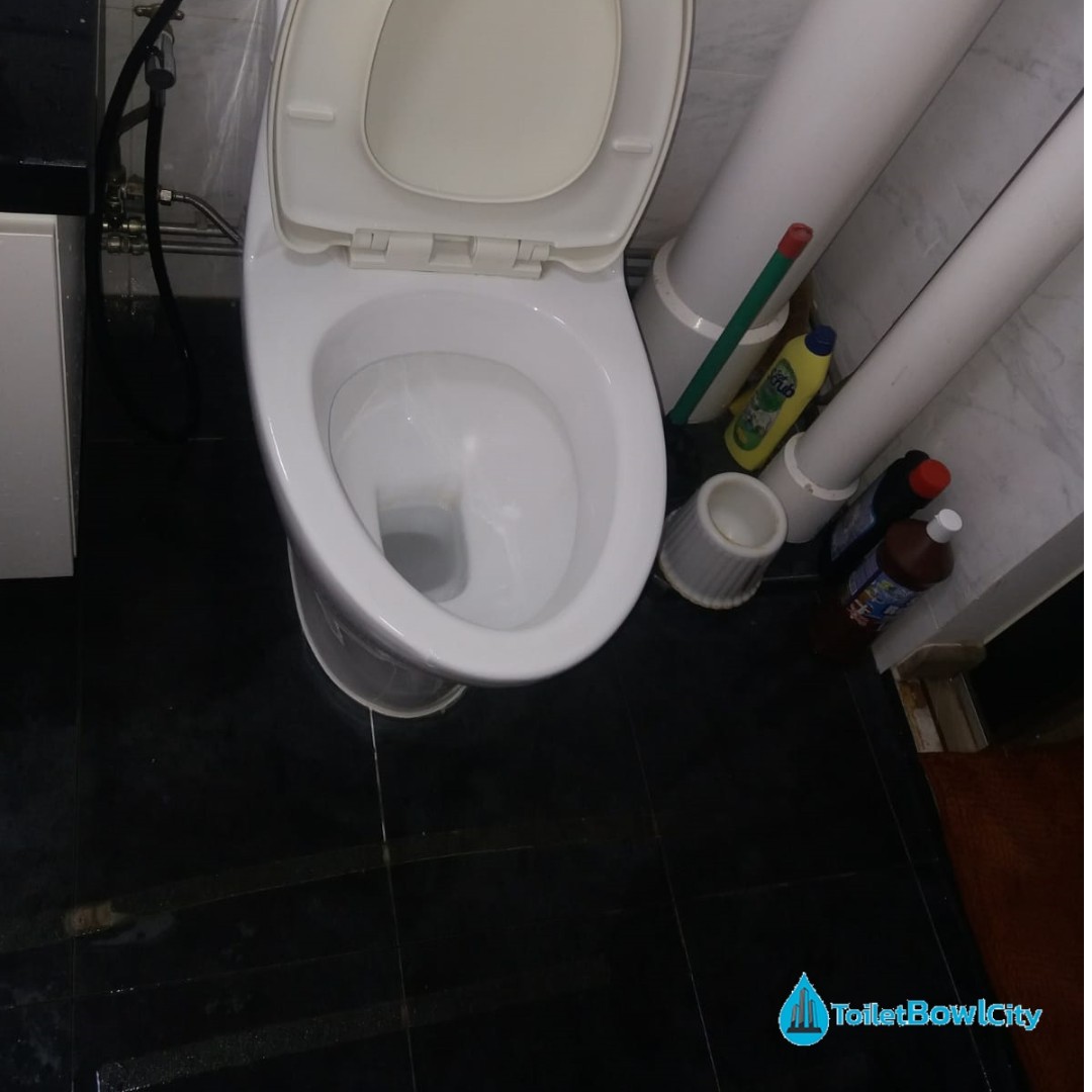 Toilet Bowl Removal in Singapore Landed Jalan Datoh, Everything Else
