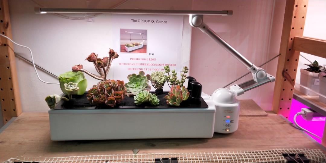 O2 Garden Hydroponic System Gardening Plants On Carousell