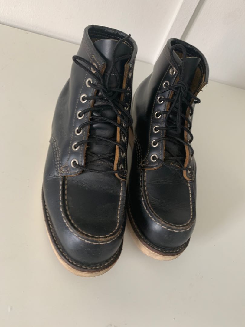 irish setter 9874