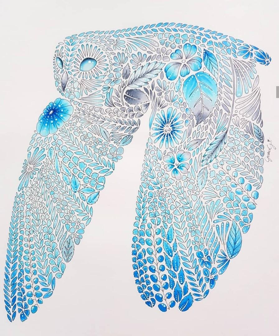 Learn How To Draw Colour Design Craft Art Prints On Carousell