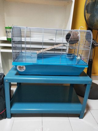 (Category: ) located in . Submitted by neng8168 (Listing ID 253612131, Image 1). Description: .