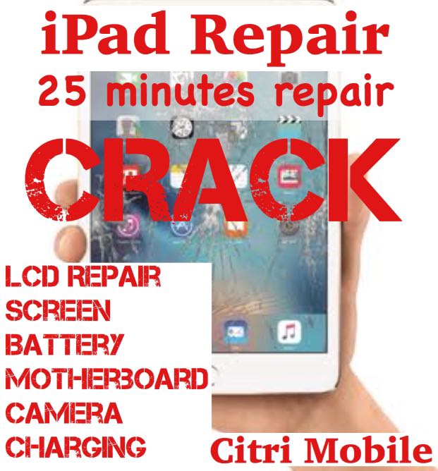iPad Air Mini 1 2 3 4 Crack Screen Glass LCD Battery Repair