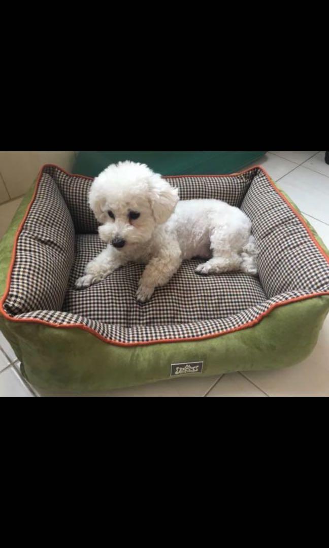 NEW Dog bed!! (Clearing stock sales!!!), Pet Supplies, For Small
