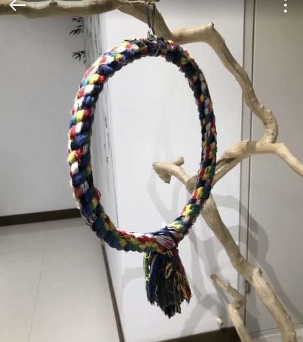 Rope Swing for Birds, Pet Supplies, Homes & Other Pet Accessories on