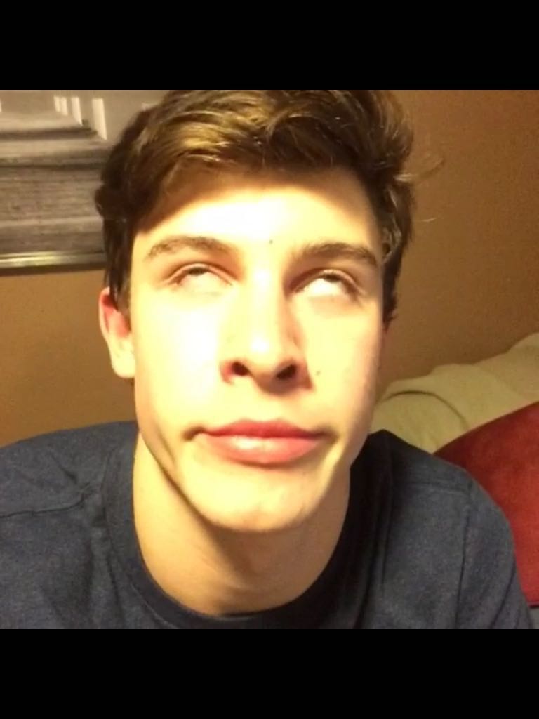 Shawn Mendes CAT 1, Hobbies & Toys, Memorabilia & Collectibles, Fan