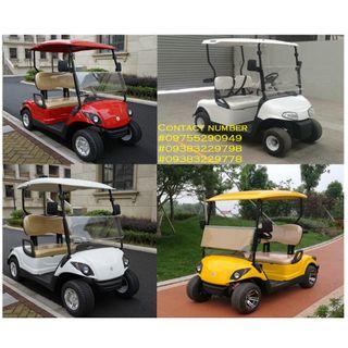 Gas Golf Cart 2 Seaters