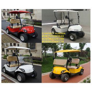 Gas Golf Cart 2 Seaters