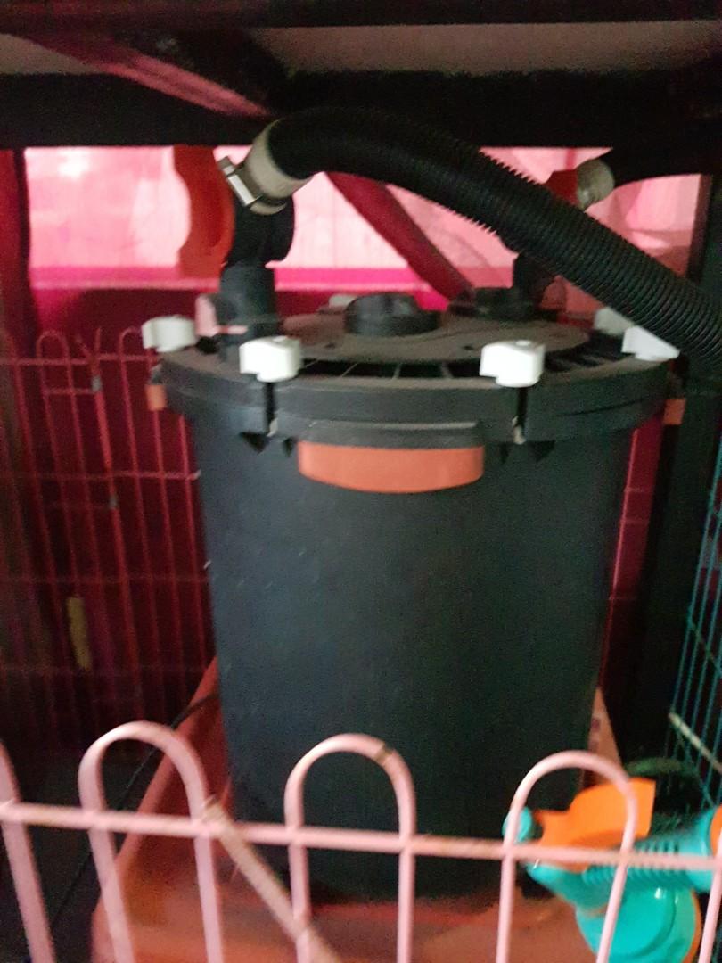 Big 6ft Fish Tank + Stand, Pet Supplies, Homes & Other Pet Accessories