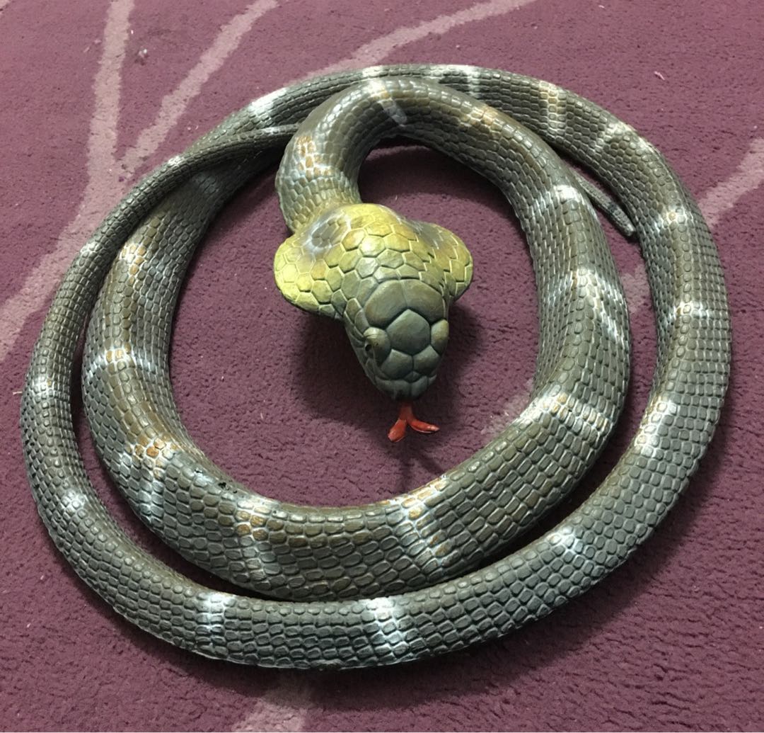 Toys r us shop snake