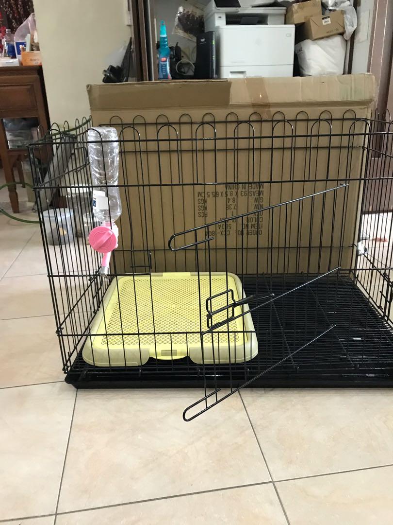 Dog cage with pee tray and water dispenser