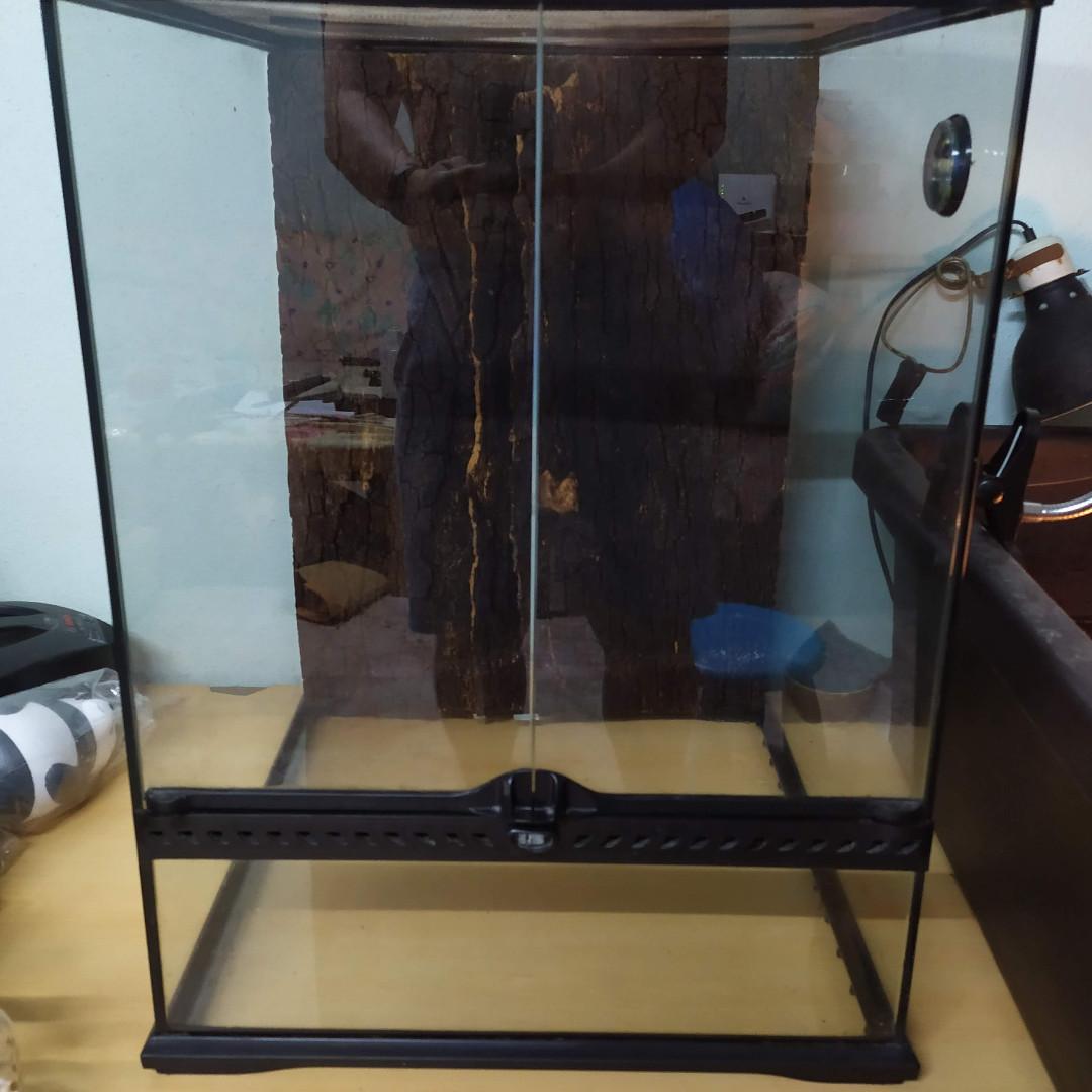 Exo Terra Tall Terrarium Tank 45x45x60 Pet Supplies For Small Animals Pet Accessories On Carousell