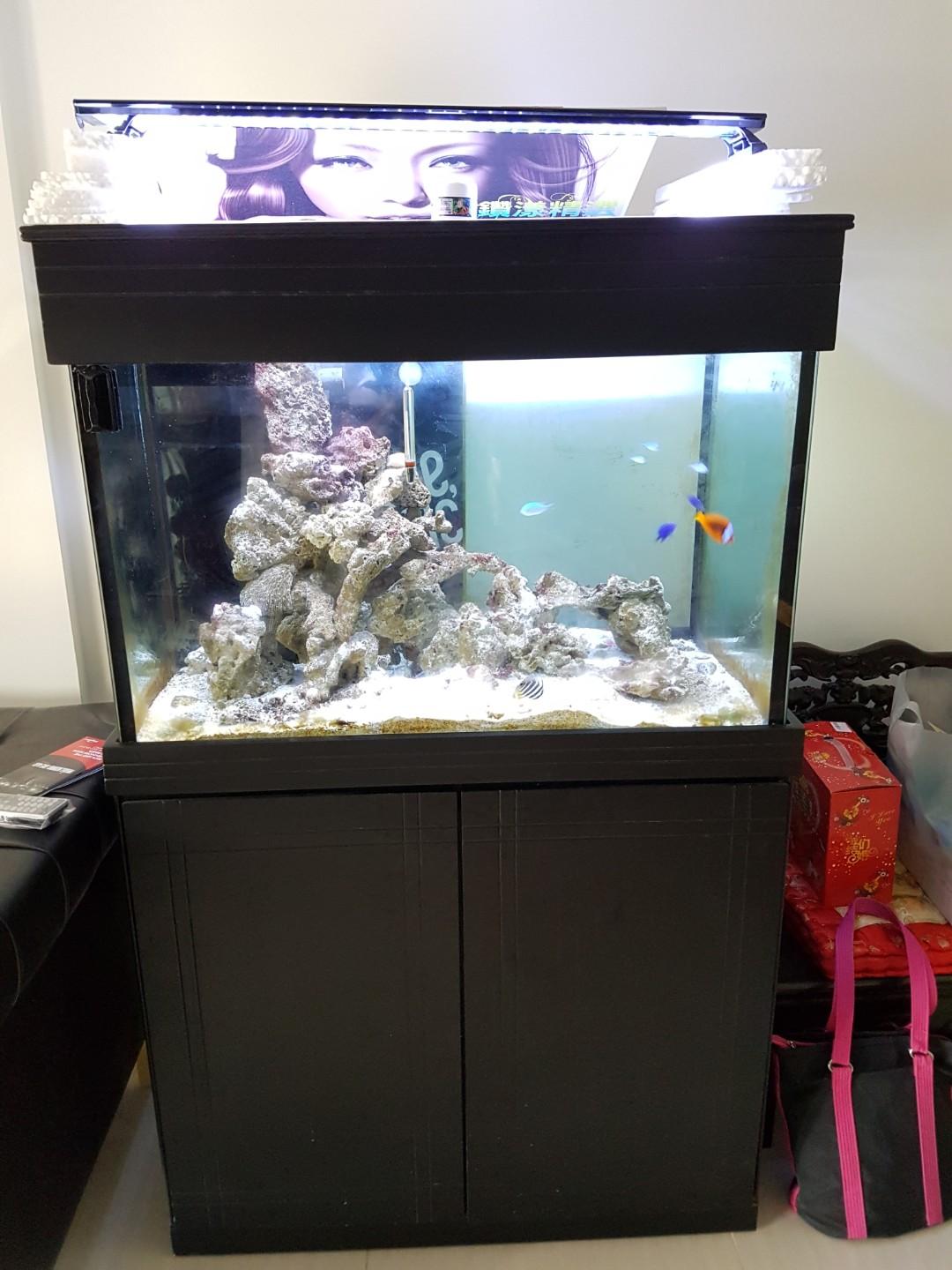 3ft fish tank