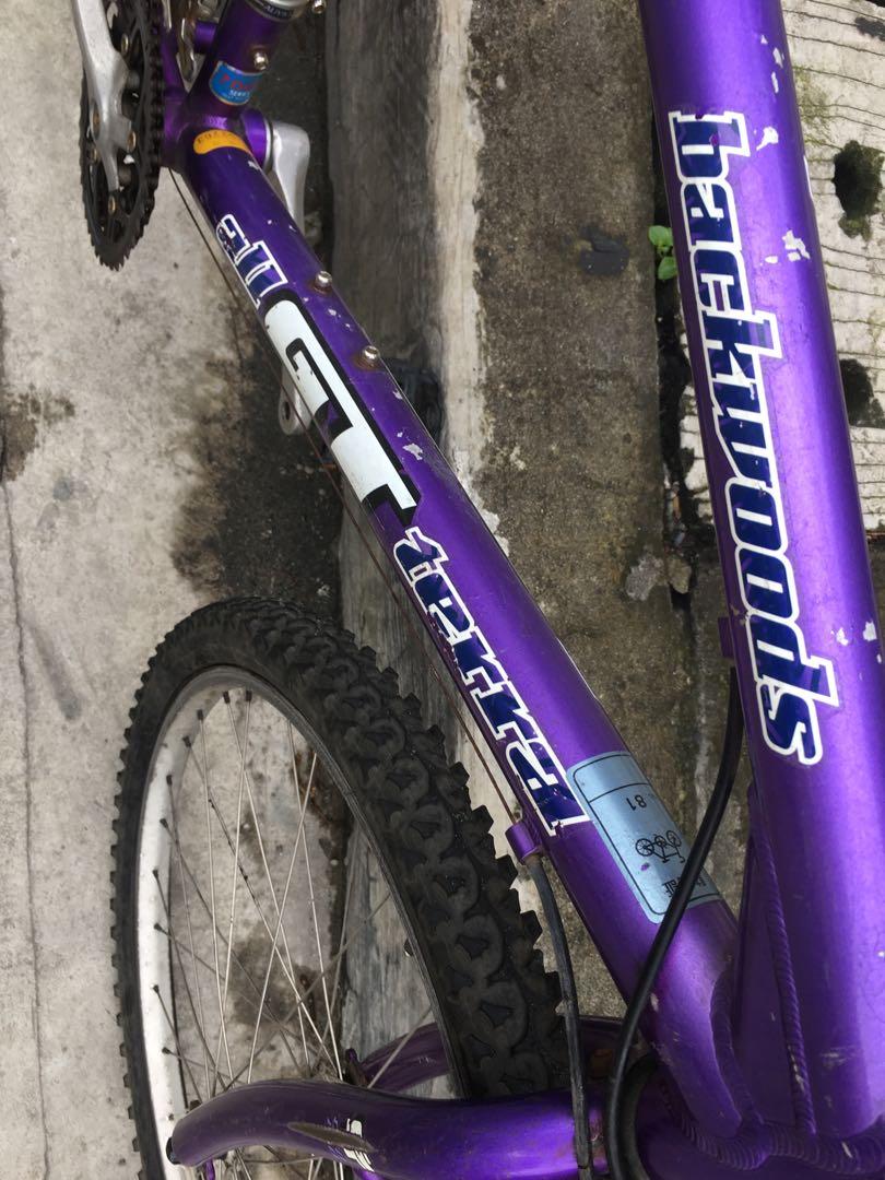 gt all terra backwoods mountain bike