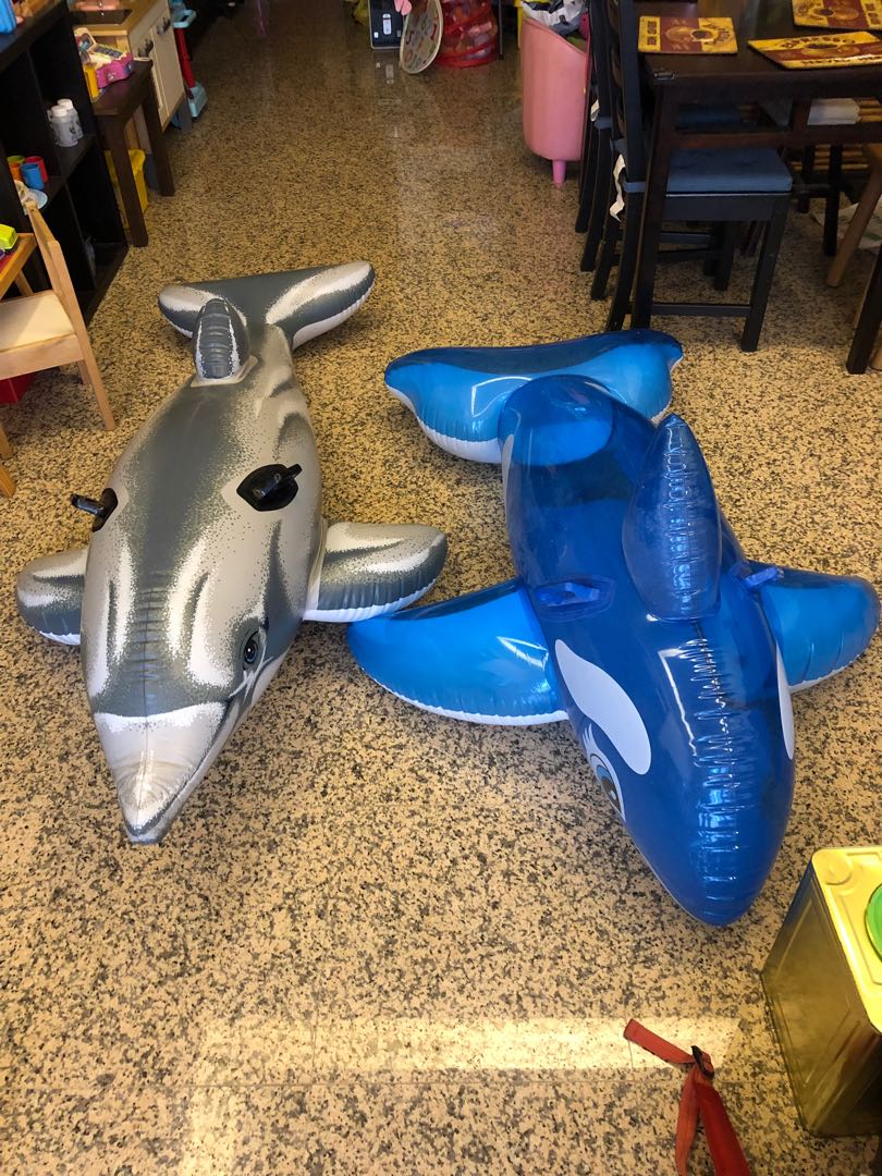 Inflatable swimming pool whale & dolphin water float, Sports Equipment