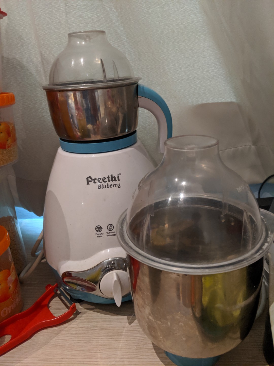 blueberry mixer grinder price