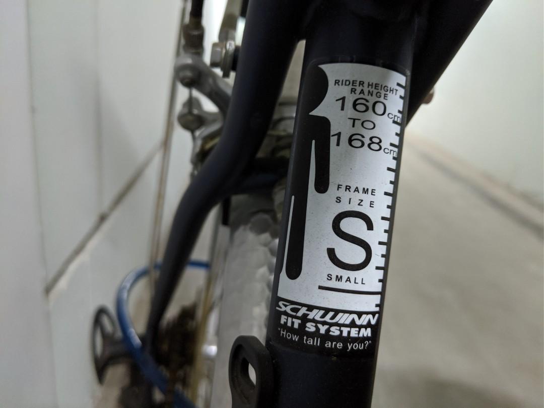 Schwinn outlet coffee 2