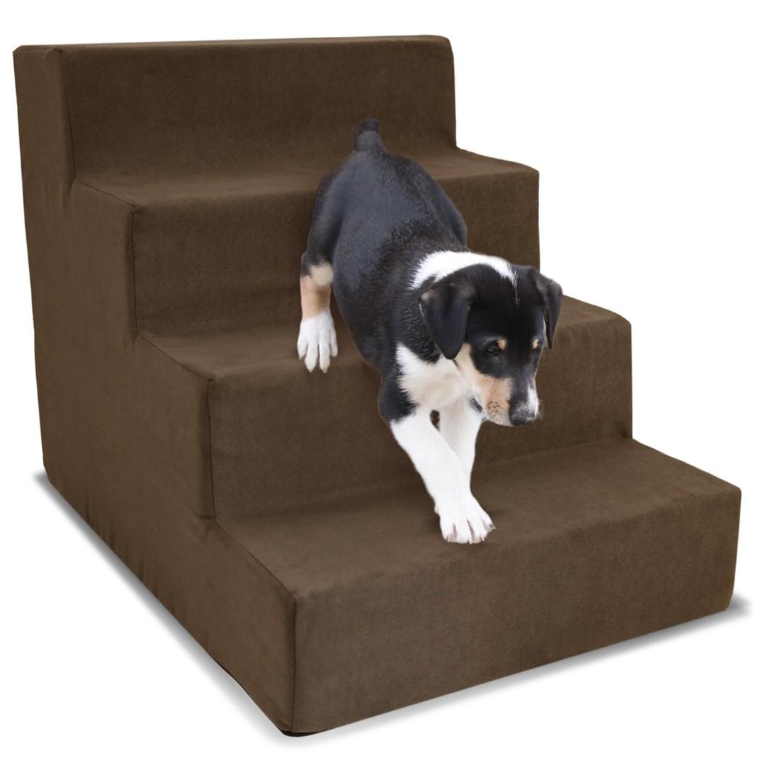 Homebase pet shop steps