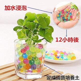 由 yigulu (刊登 ID 255579060，圖片 1) 提交，位於 的 (類別：)，說明：。