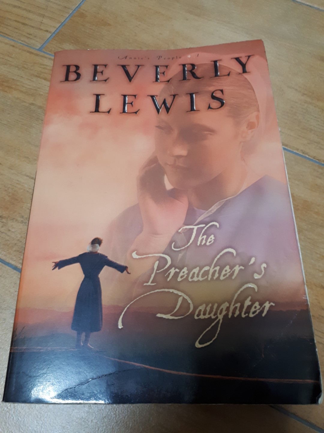 The Preacher S Daughter By Beverly Lewis Hobbies Toys Books Magazines Children S Books On Carousell