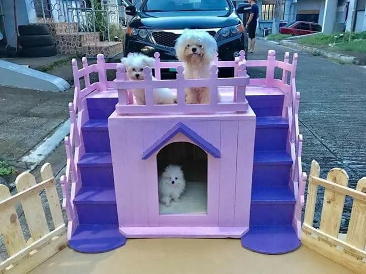 dog house second hand