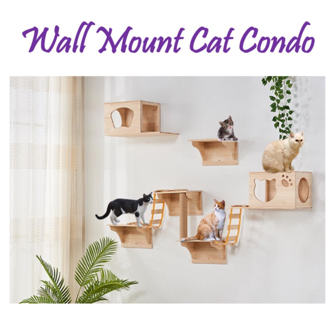 cat wall condo