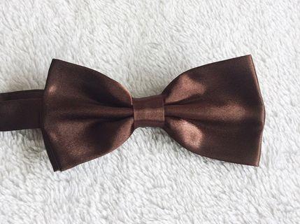 Dark Brown Bowtie