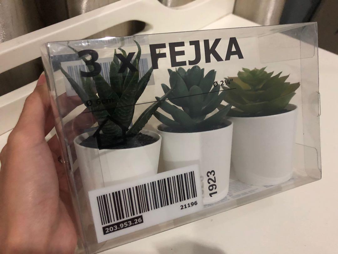 Artificial Kaktus Plants By Ikea Perabotan Rumah Di Carousell