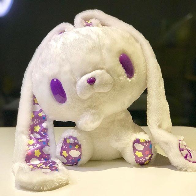 chax gp bunny
