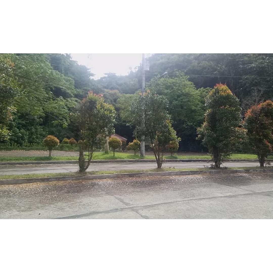 Residential Lots FOR SALE PALO ALTO Baras/Tanay Rizal, Property, For