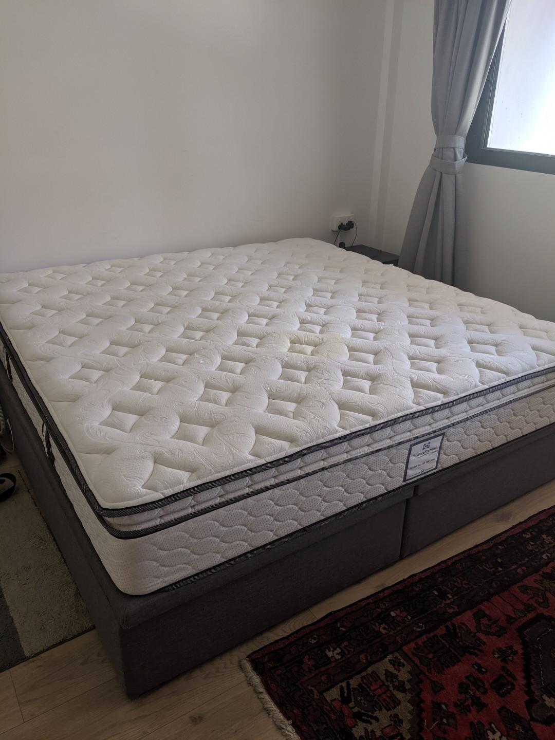 Sealy posture premier outlet price