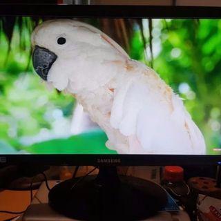 led monitor samsung 19 inches monitor
