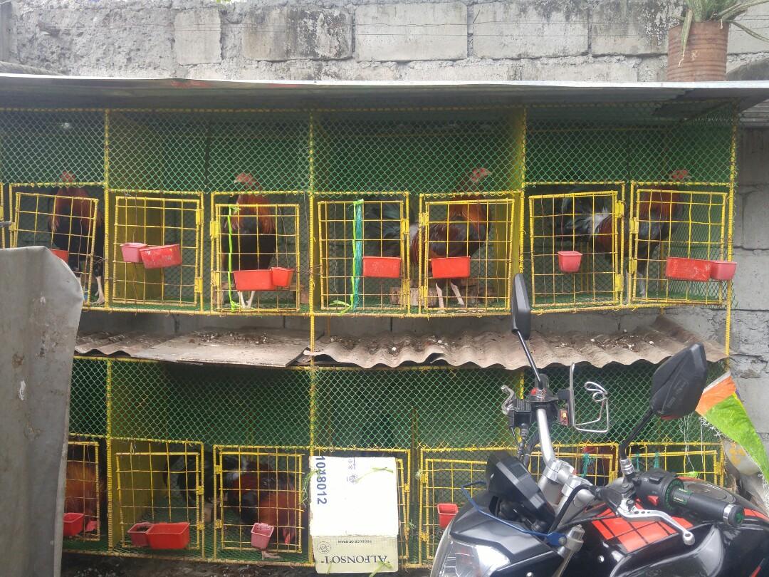 Kulungan ng manok for sale, 8pcs. 2 story na kulungan, Pet Supplies