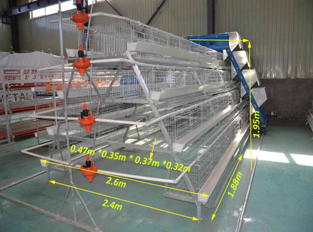 Ready To Lay Chicken Cage Or Rtl Cage Layer Cage Pets Supplies Pet Accessories On Carousell