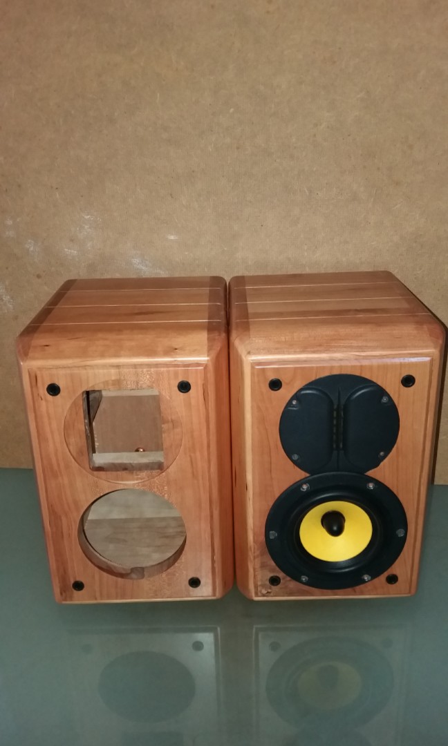 swan diy speakers