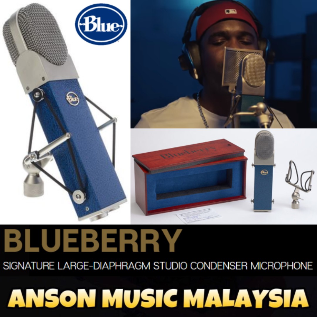 Blue Microphones Blueberry Condenser Microphone - Used, Free Shipping