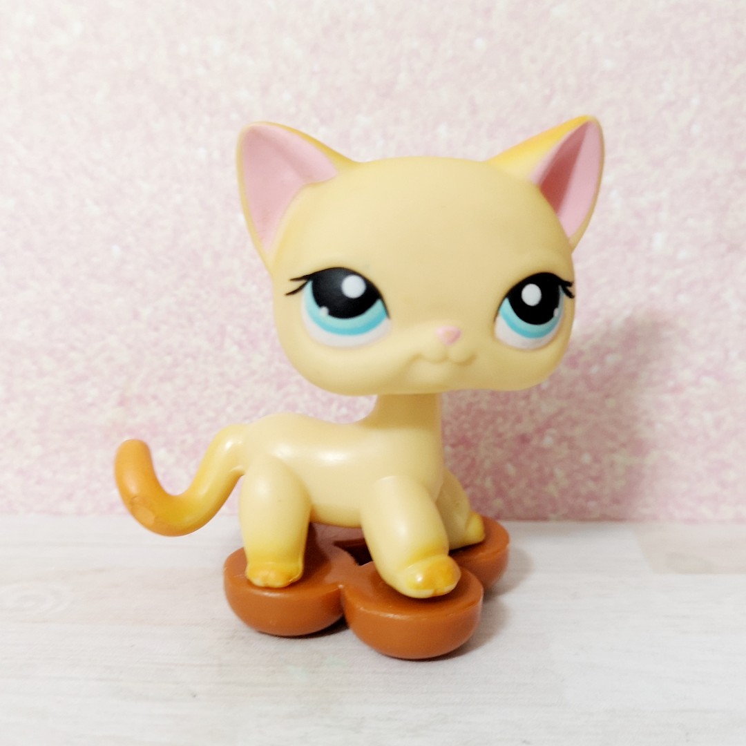 lps brooke
