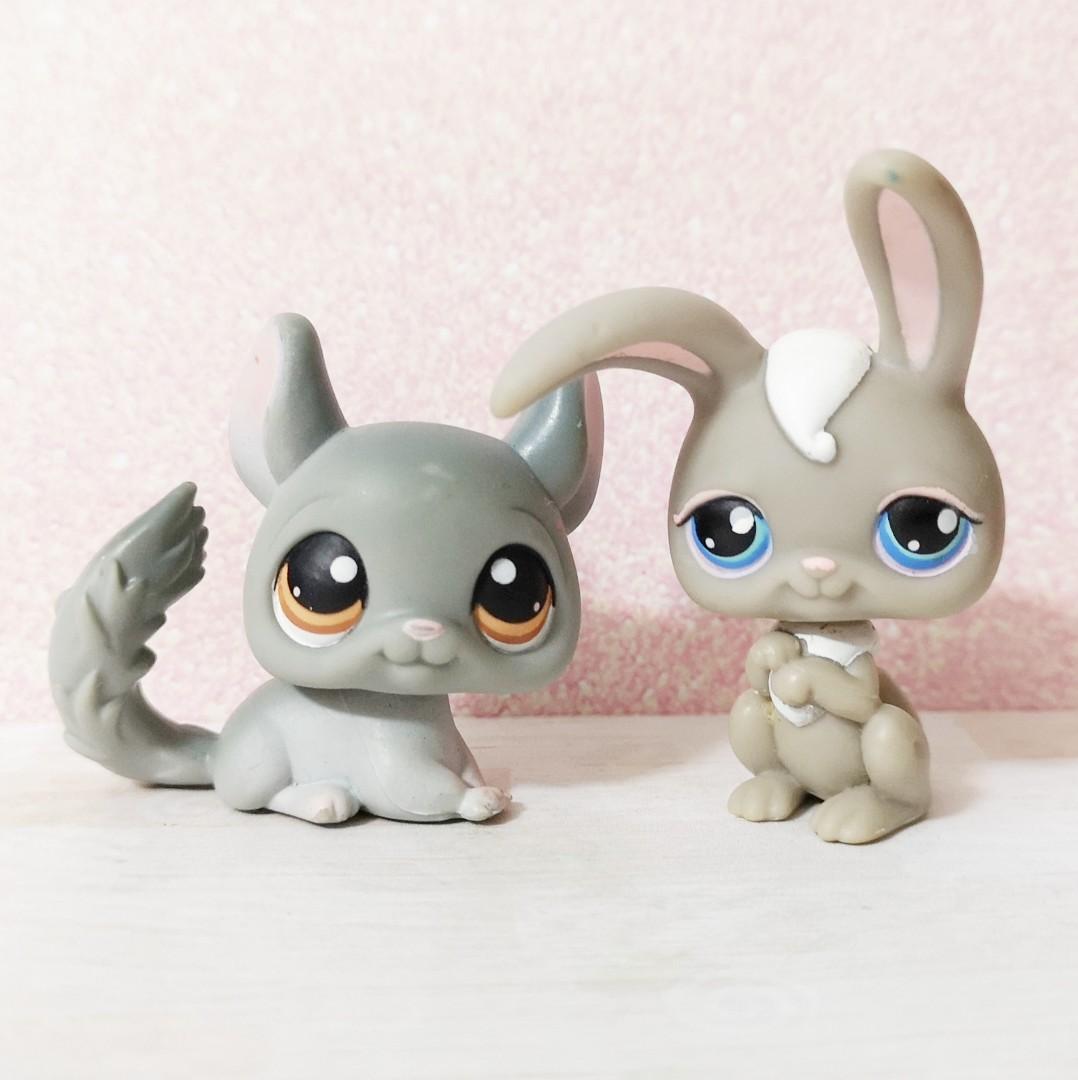 lps chinchilla