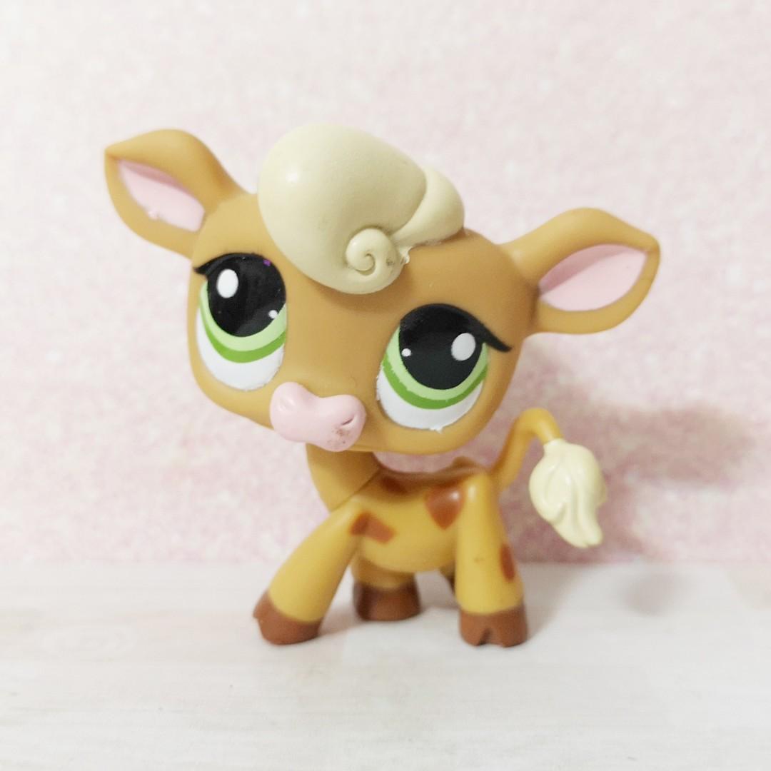lps cow