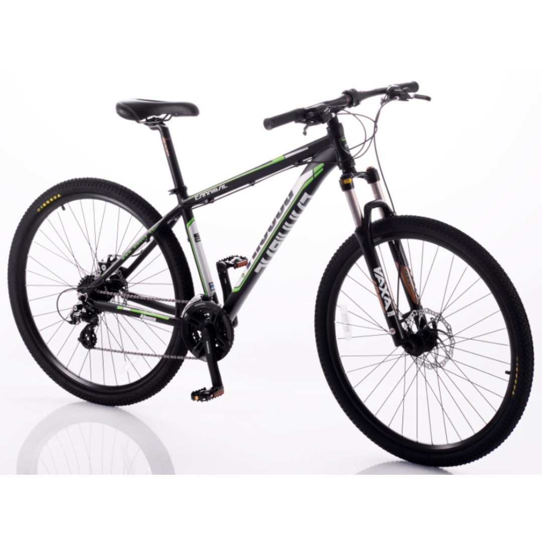 Aleoca fat sales bike price