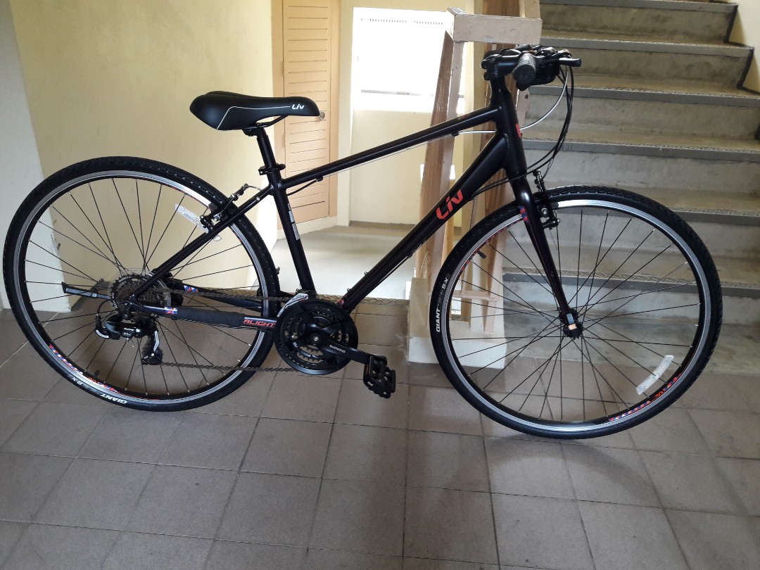 giant contend 3.0