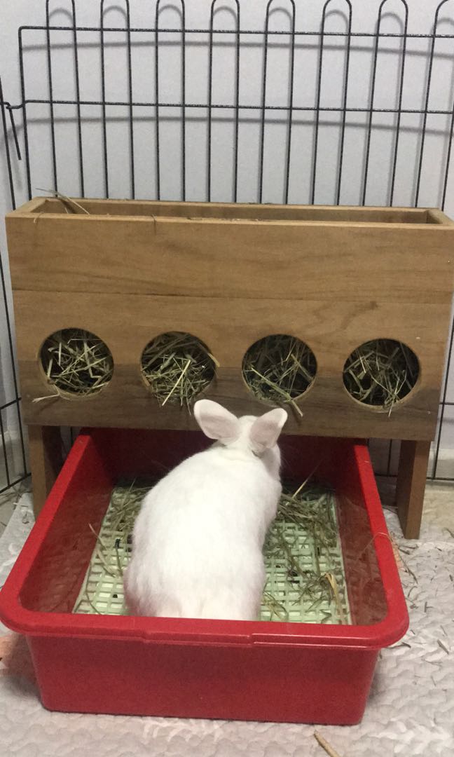 rabbit hay box