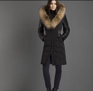 Winter Jacket