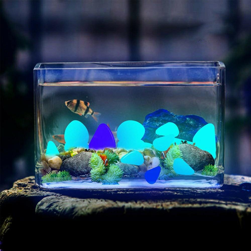 Glow In The Dark Stone Pet Supplies For Fish Fish Tank Accessories On Carousell