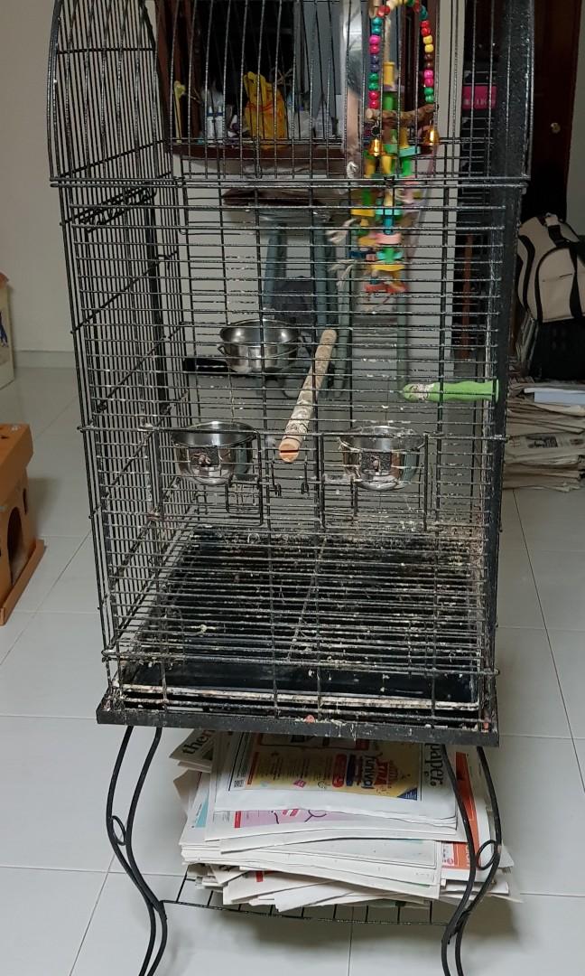 preloved bird cages