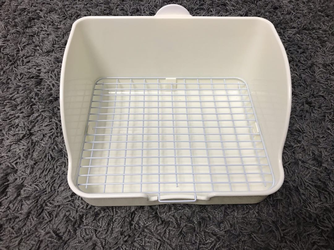chinchilla litter pan